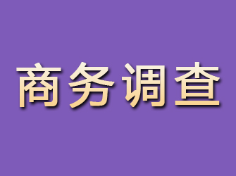 安宁商务调查